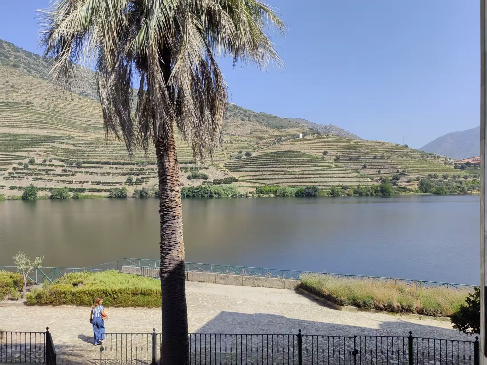 Quinta do Vesuvio 酒庄活动照片 3